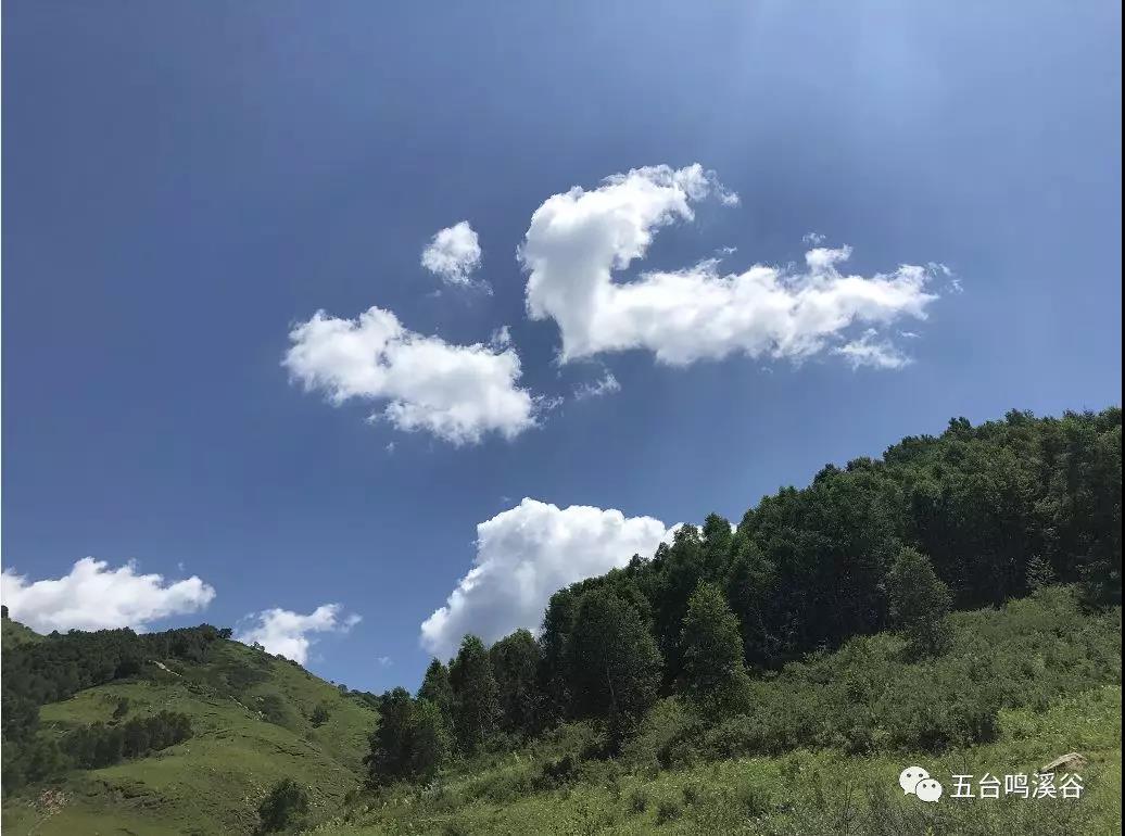 微信圖片_20200308164012.jpg
